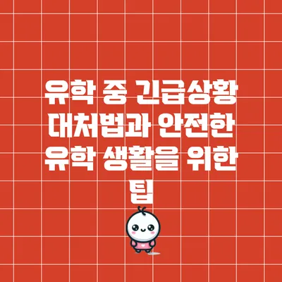 유학 중 긴급상황 대처법과 안전한 유학 생활을 위한 팁