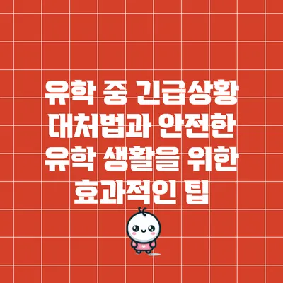 유학 중 긴급상황 대처법과 안전한 유학 생활을 위한 효과적인 팁