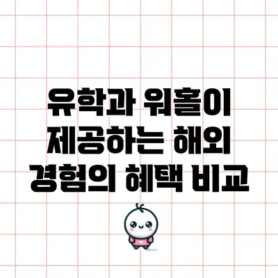 유학과 워홀이 제공하는 해외 경험의 혜택 비교
