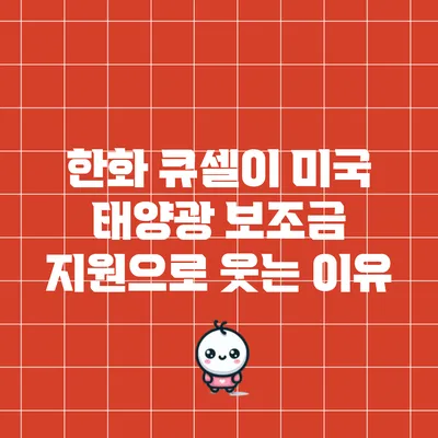 한화 큐셀이 미국 태양광 보조금 지원으로 웃는 이유