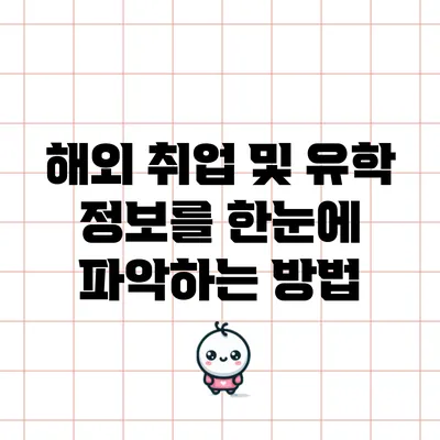 해외 취업 및 유학 정보를 한눈에 파악하는 방법