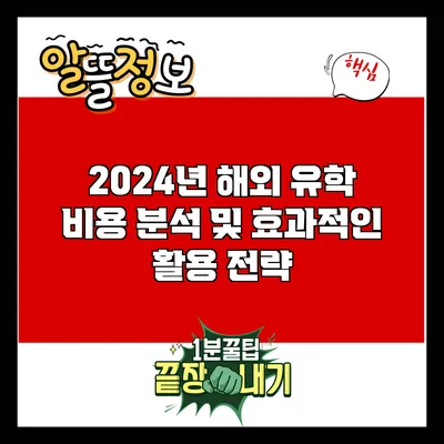 2024년 해외 유학 비용 분석 및 효과적인 활용 전략