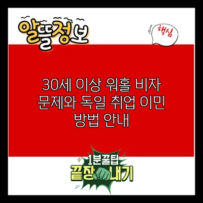 30세 이상 워홀 비자 문제와 독일 취업 이민 방법 안내