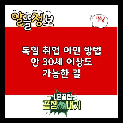 독일 취업 이민 방법: 만 30세 이상도 가능한 길