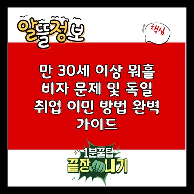 만 30세 이상 워홀 비자 문제 및 독일 취업 이민 방법 완벽 가이드