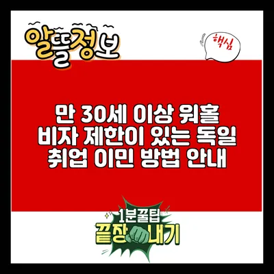 만 30세 이상 워홀 비자 제한이 있는 독일 취업 이민 방법 안내
