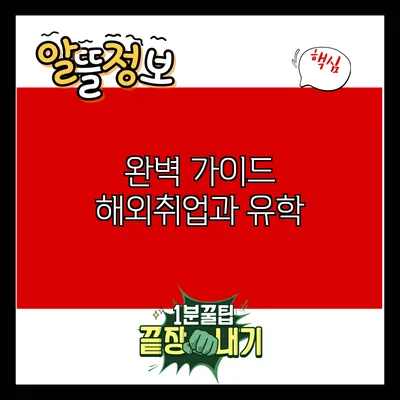 완벽 가이드: 해외취업과 유학