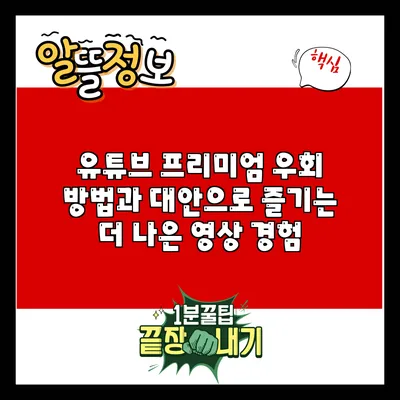 유튜브 프리미엄 우회 방법과 대안으로 즐기는 더 나은 영상 경험