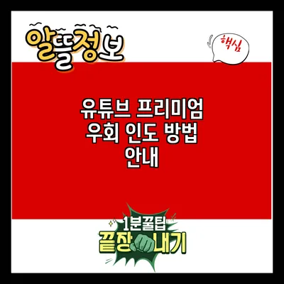 유튜브 프리미엄 우회 인도 방법 안내