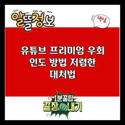 유튜브 프리미엄 우회 인도 방법: 저렴한 대처법