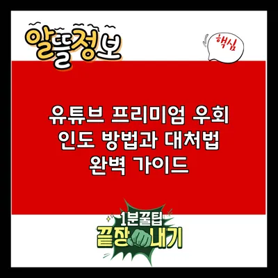 유튜브 프리미엄 우회: 인도 방법과 대처법 완벽 가이드
