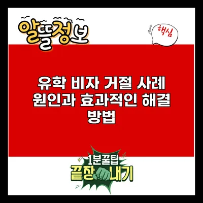 유학 비자 거절 사례: 원인과 효과적인 해결 방법