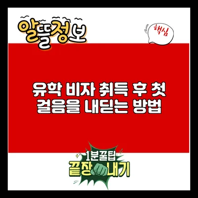 유학 비자 취득 후 첫 걸음을 내딛는 방법