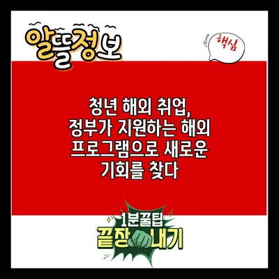 청년 해외 취업, 정부가 지원하는 해외 프로그램으로 새로운 기회를 찾다