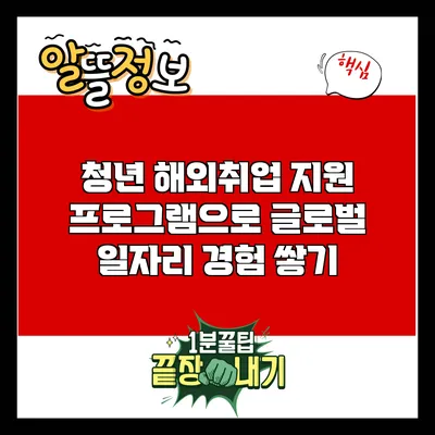 청년 해외취업 지원 프로그램으로 글로벌 일자리 경험 쌓기