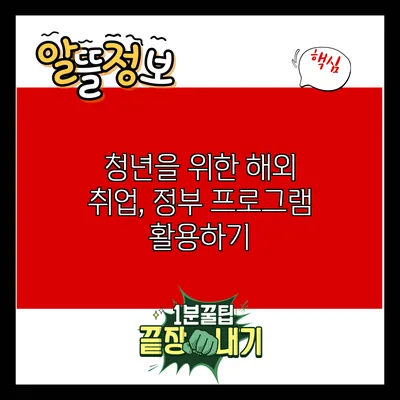 청년을 위한 해외 취업, 정부 프로그램 활용하기