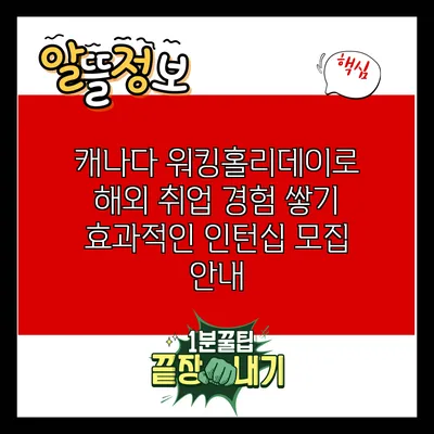 캐나다 워킹홀리데이로 해외 취업 경험 쌓기: 효과적인 인턴십 모집 안내