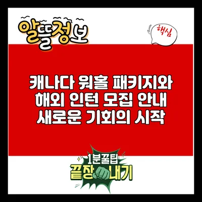 캐나다 워홀 패키지와 해외 인턴 모집 안내: 새로운 기회의 시작