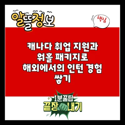 캐나다 취업 지원과 워홀 패키지로 해외에서의 인턴 경험 쌓기