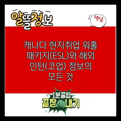 캐나다 현지취업 워홀 패키지(ESL)와 해외 인턴(코업) 정보의 모든 것