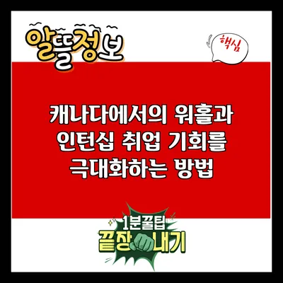 캐나다에서의 워홀과 인턴십: 취업 기회를 극대화하는 방법