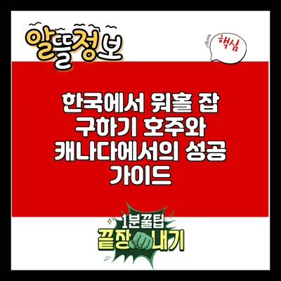 한국에서 워홀 잡 구하기: 호주와 캐나다에서의 성공 가이드