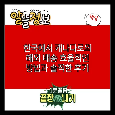 한국에서 캐나다로의 해외 배송: 효율적인 방법과 솔직한 후기