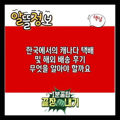 한국에서의 캐나다 택배 및 해외 배송 후기: 무엇을 알아야 할까요?
