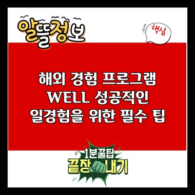 해외 경험 프로그램 WELL: 성공적인 일경험을 위한 필수 팁