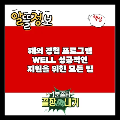 해외 경험 프로그램 WELL: 성공적인 지원을 위한 모든 팁