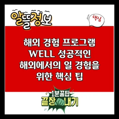 해외 경험 프로그램 WELL: 성공적인 해외에서의 일 경험을 위한 핵심 팁