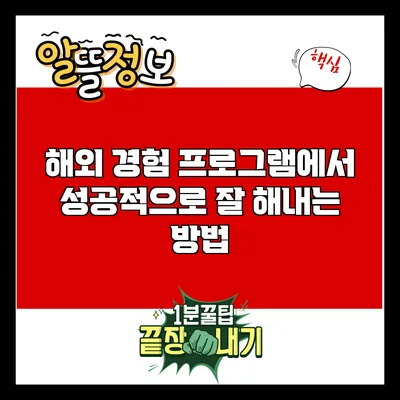 해외 경험 프로그램에서 성공적으로 잘 해내는 방법