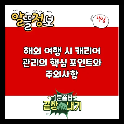 해외 여행 시 캐리어 관리의 핵심 포인트와 주의사항