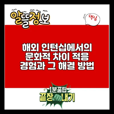 해외 인턴십에서의 문화적 차이 적응 경험과 그 해결 방법