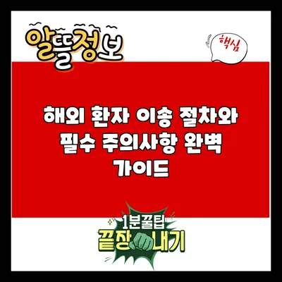 해외 환자 이송 절차와 필수 주의사항 완벽 가이드