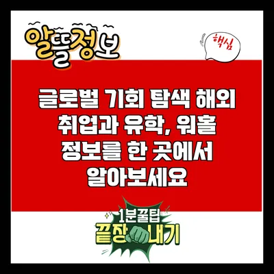 글로벌 기회 탐색: 해외 취업과 유학, 워홀 정보를 한 곳에서 알아보세요