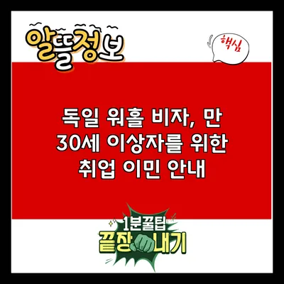 독일 워홀 비자, 만 30세 이상자를 위한 취업 이민 안내