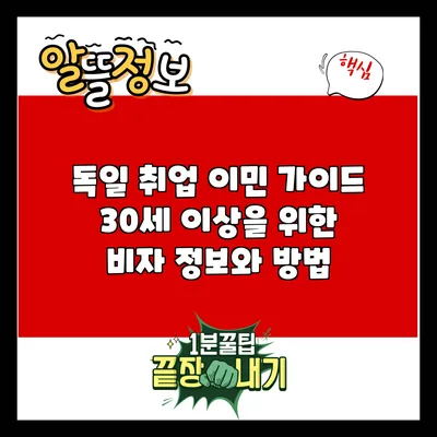 독일 취업 이민 가이드: 30세 이상을 위한 비자 정보와 방법