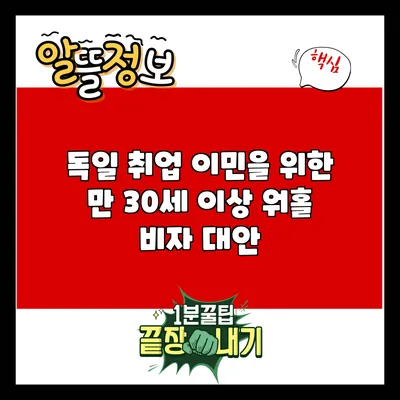 독일 취업 이민을 위한 만 30세 이상 워홀 비자 대안