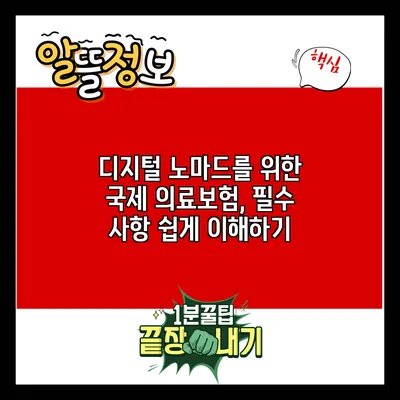 디지털 노마드를 위한 국제 의료보험, 필수 사항 쉽게 이해하기