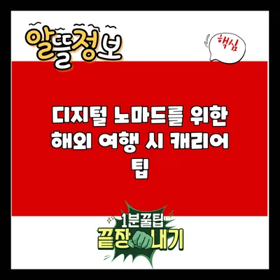 디지털 노마드를 위한 해외 여행 시 캐리어 팁