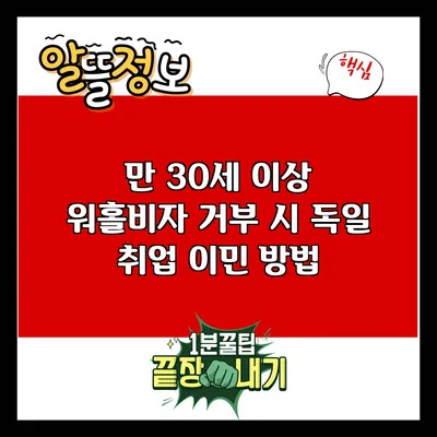 만 30세 이상 워홀비자 거부 시 독일 취업 이민 방법
