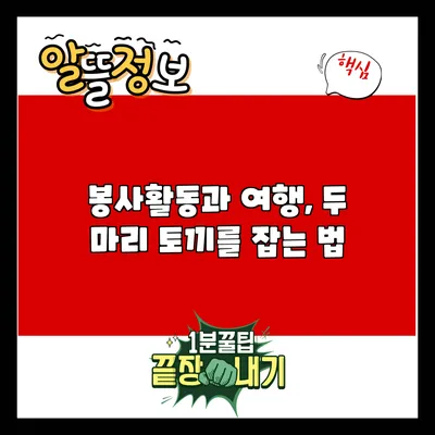 봉사활동과 여행, 두 마리 토끼를 잡는 법