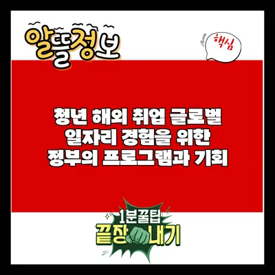 청년 해외 취업: 글로벌 일자리 경험을 위한 정부의 프로그램과 기회
