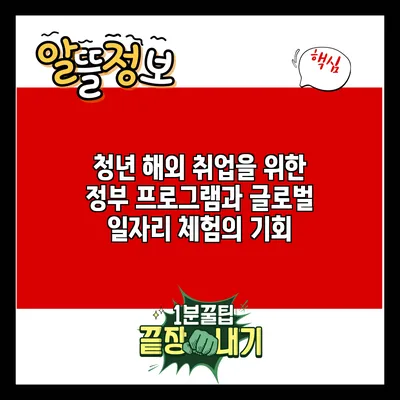 청년 해외 취업을 위한 정부 프로그램과 글로벌 일자리 체험의 기회