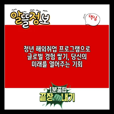 청년 해외취업 프로그램으로 글로벌 경험 쌓기, 당신의 미래를 열어주는 기회