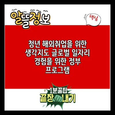 청년 해외취업을 위한 생각지도: 글로벌 일자리 경험을 위한 정부 프로그램