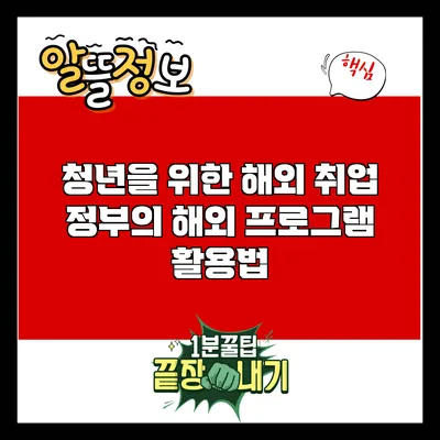 청년을 위한 해외 취업: 정부의 해외 프로그램 활용법