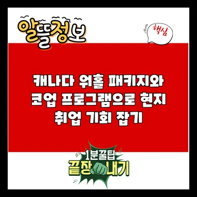 캐나다 워홀 패키지와 코업 프로그램으로 현지 취업 기회 잡기