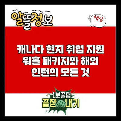 캐나다 현지 취업 지원: 워홀 패키지와 해외 인턴의 모든 것